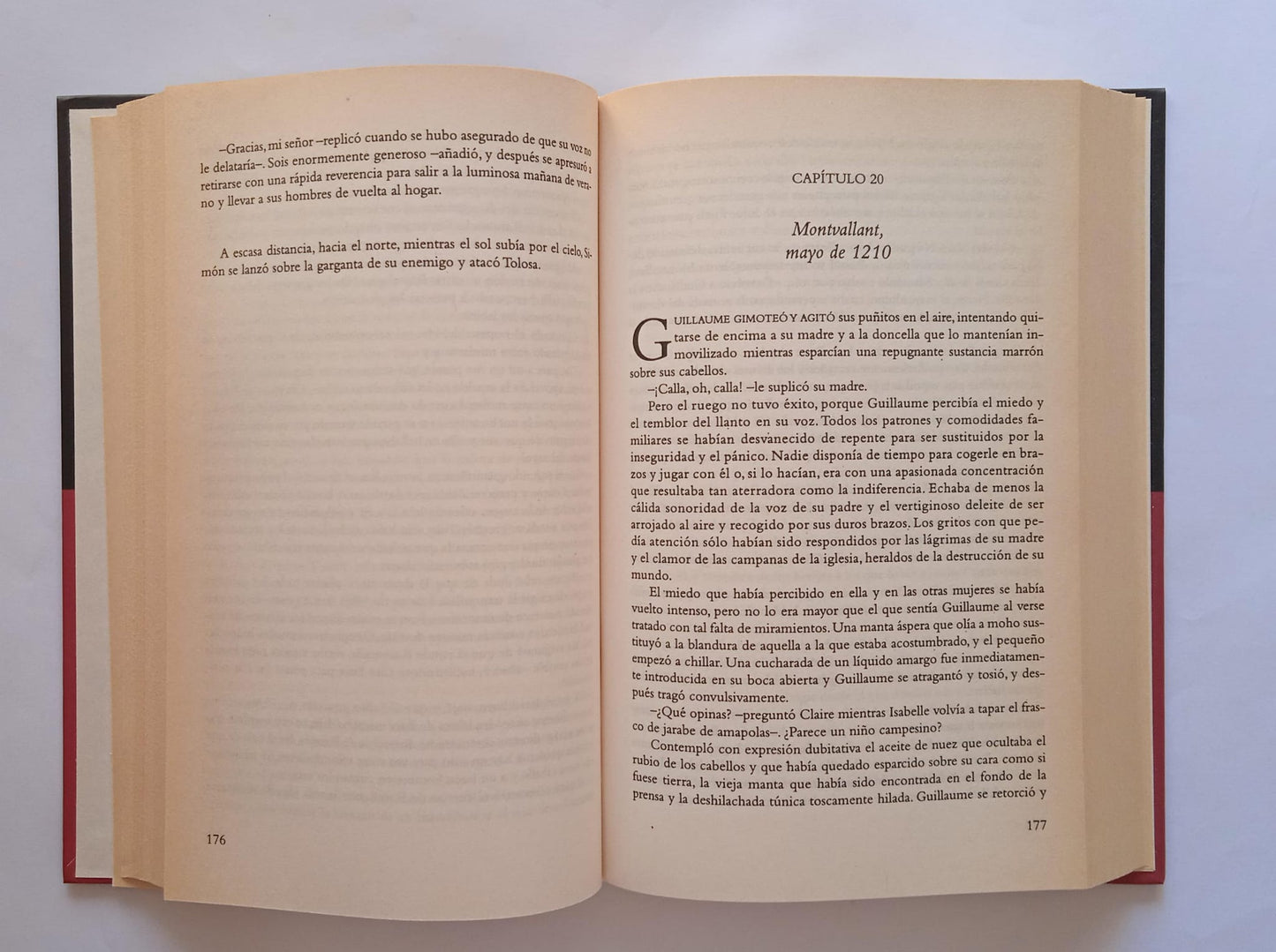 Libro La sangre de los cátaros. Elizabeth Chadwick