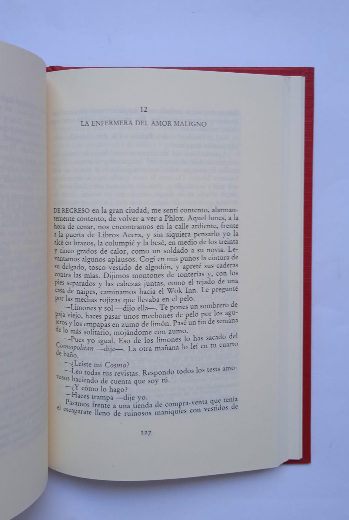 Libro Los misterios de Pittsburgh. Michael Chabon. 1988