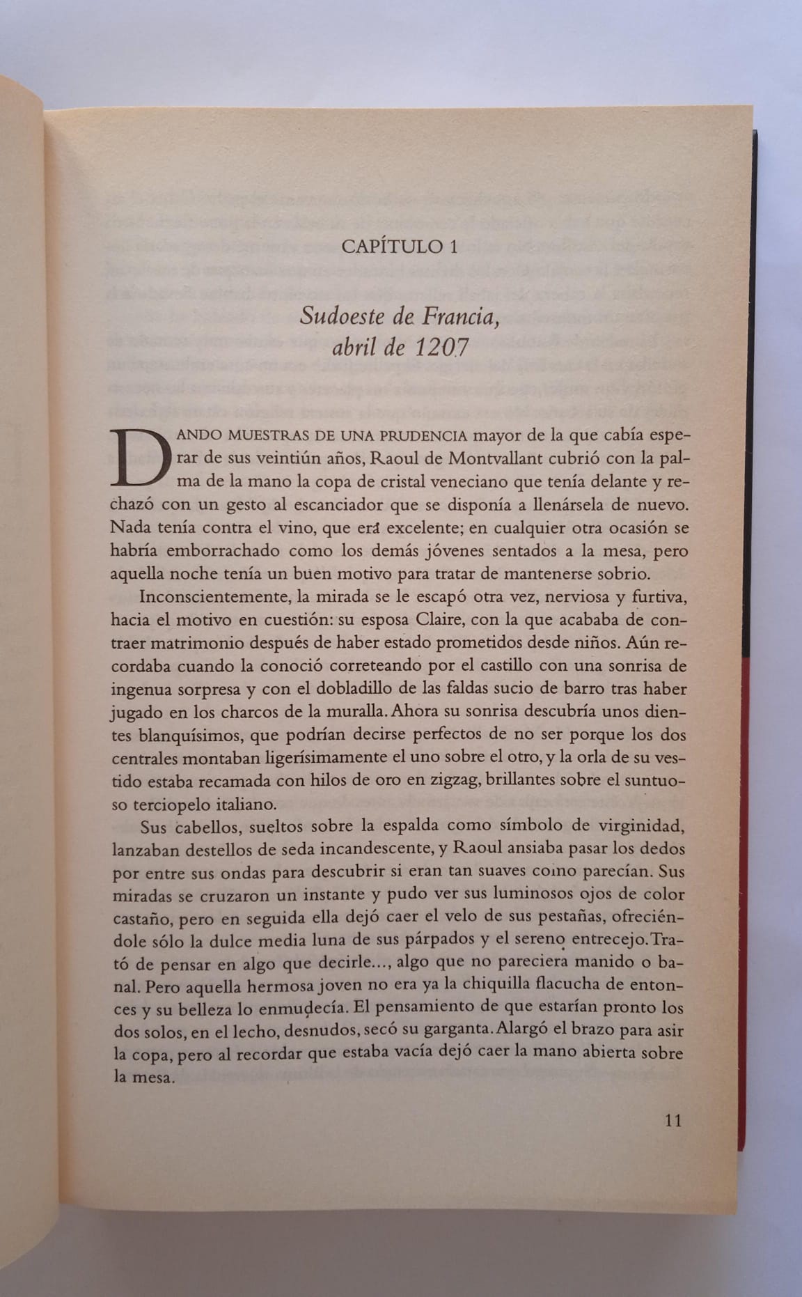 Libro La sangre de los cátaros. Elizabeth Chadwick