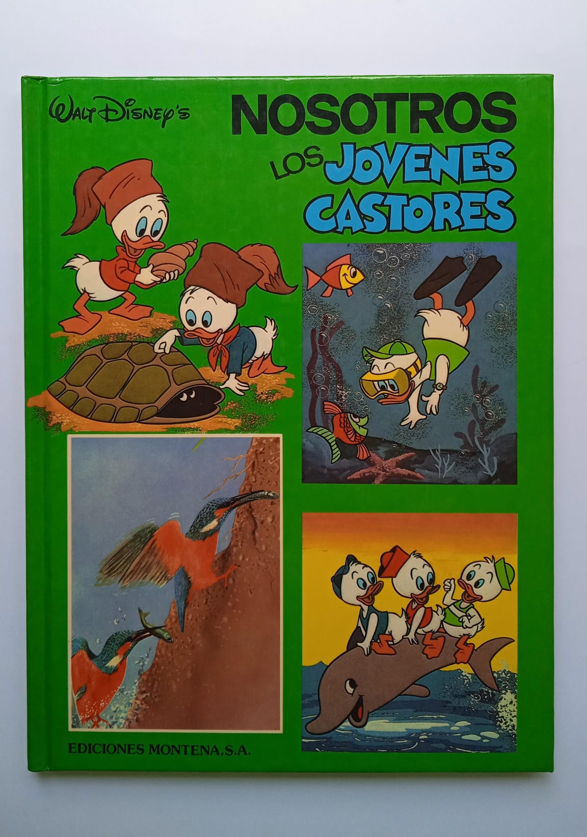 Cómics Nosotros los jóvenes castores. Walt Disney's. 1984