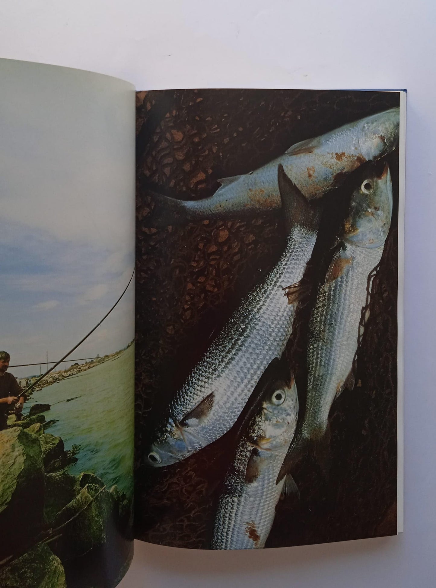 Manual del pescador en el mar. Christian Dantras. 1993