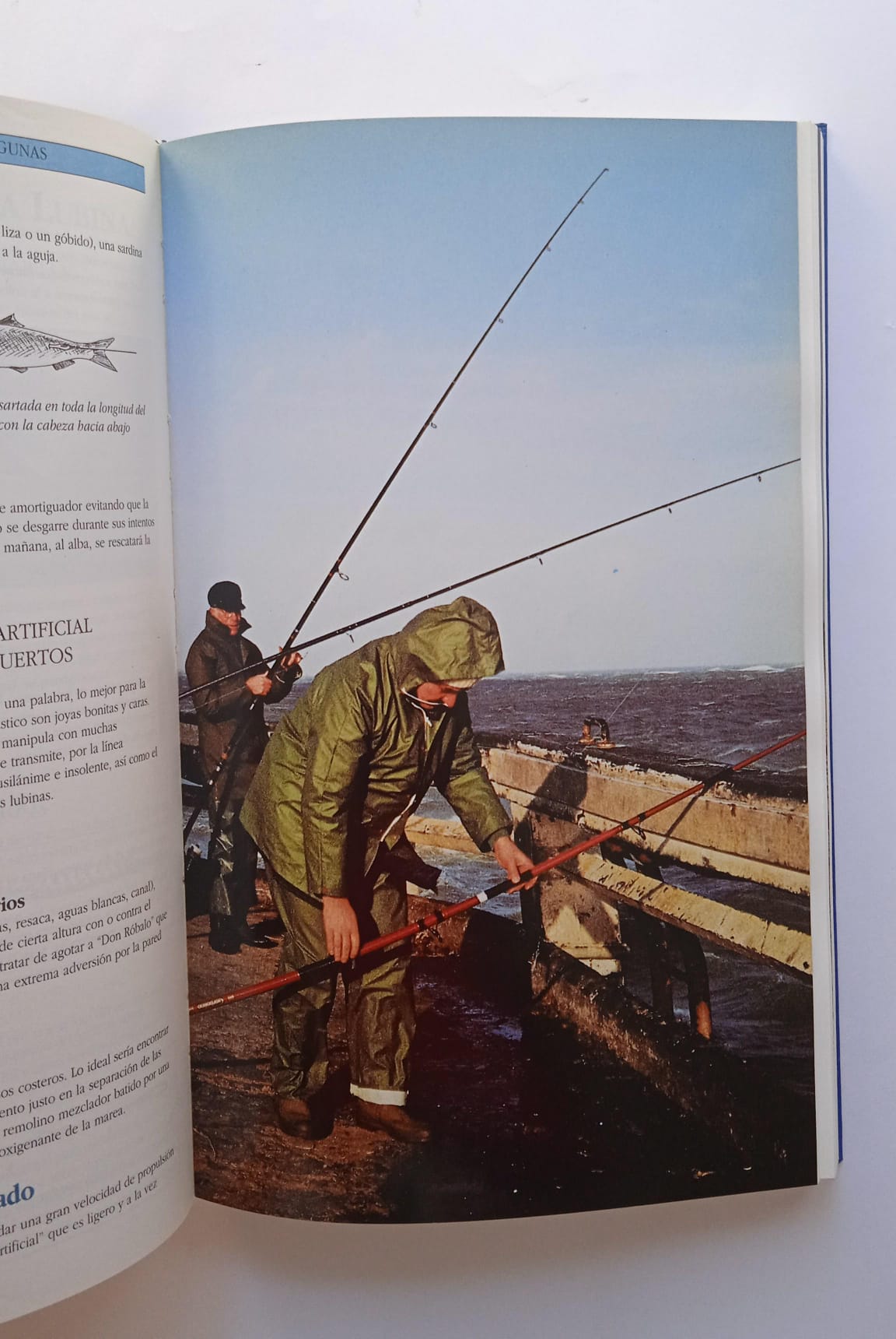 Manual del pescador en el mar. Christian Dantras. 1993