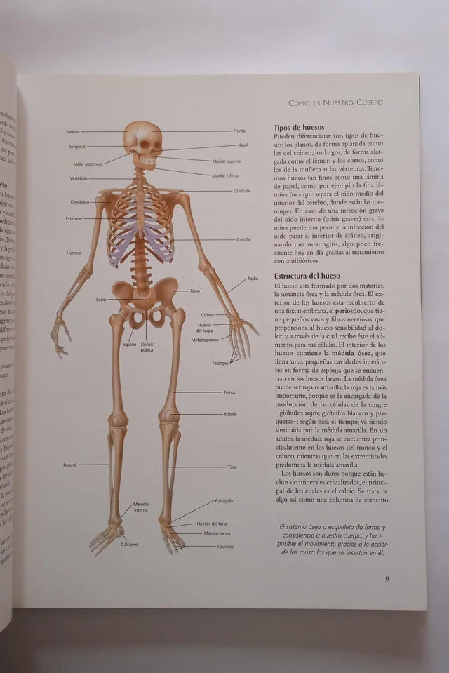 Libro El médico en casa. Primeros auxilios.